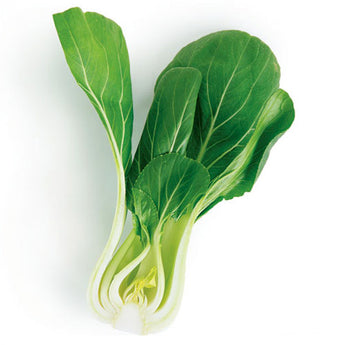 Bok Choy (4)