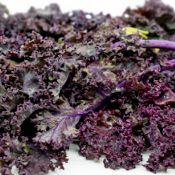 Kale - Red Volants (4)