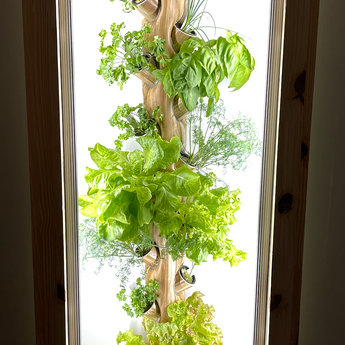 3D Cabinet Hydrogarden