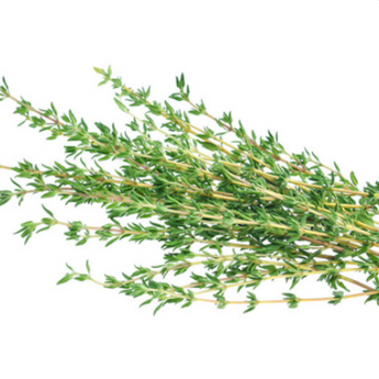 Thyme (4)