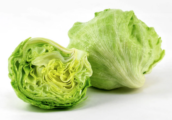 Iceberg Lettuce (4)