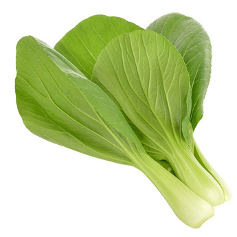 Pak Choy (4)