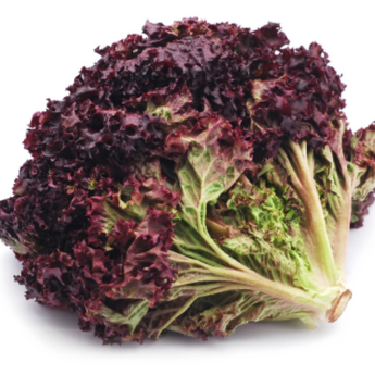 Lettuce - Ruby Red (4)
